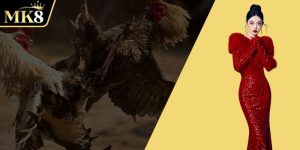 ภาพตัวแทนการต่อสู้ไก่ชน