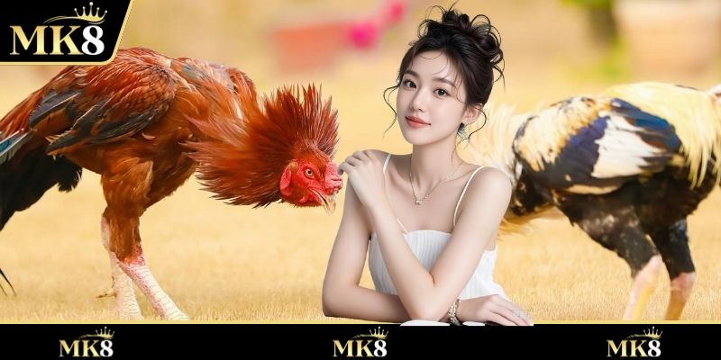 เคล็ดลับในการเลือกเกมบันเทิงที่น่าสนใจ