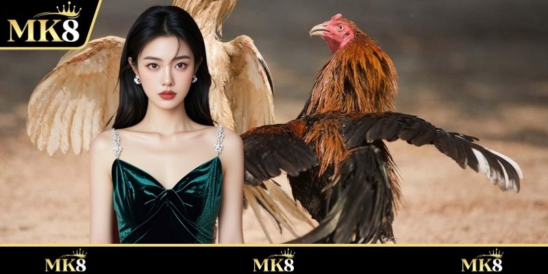 รวบรวมข้อมูลเกี่ยวกับผลิตภัณฑ์บันเทิงชั้นนำ